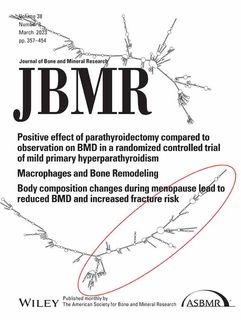 jbmr.v38.3.cover.jpg